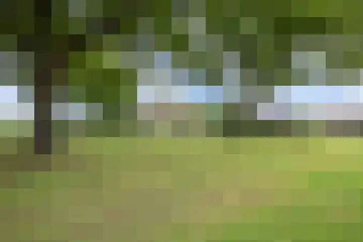 Turfhoekweg 16 Steggerda thumbnail 38