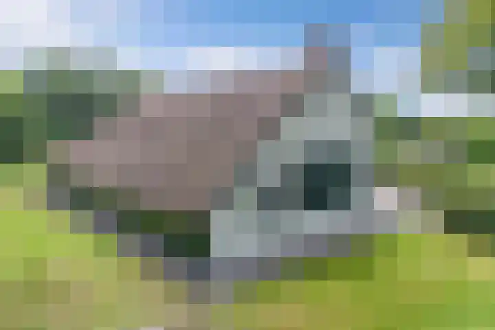 Turfhoekweg 16 Steggerda thumbnail 4