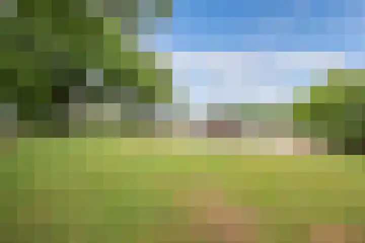 Turfhoekweg 16 Steggerda thumbnail 40