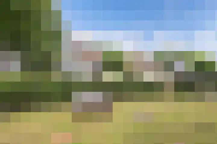 Turfhoekweg 16 Steggerda thumbnail 41