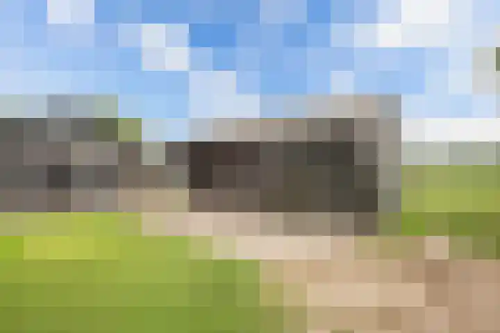 Turfhoekweg 16 Steggerda thumbnail 42