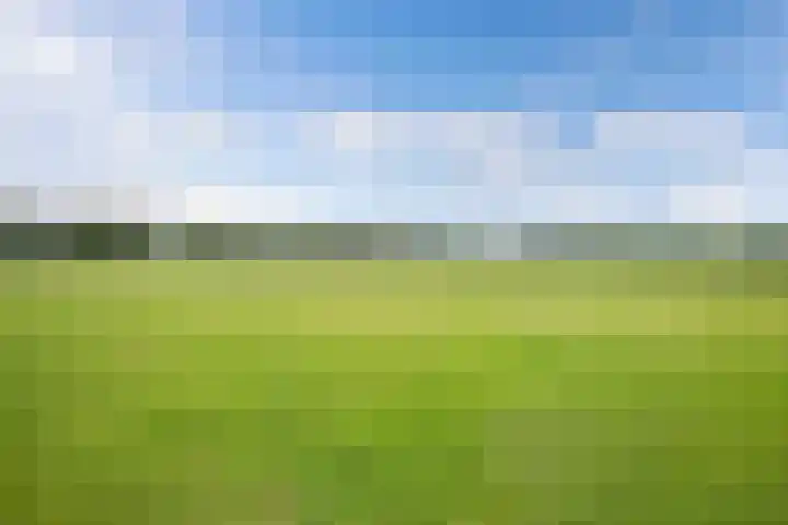 Turfhoekweg 16 Steggerda thumbnail 43