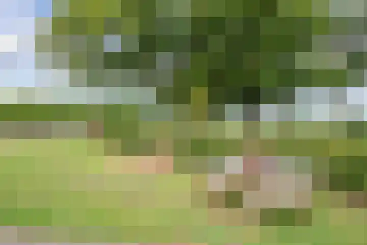 Turfhoekweg 16 Steggerda thumbnail 46