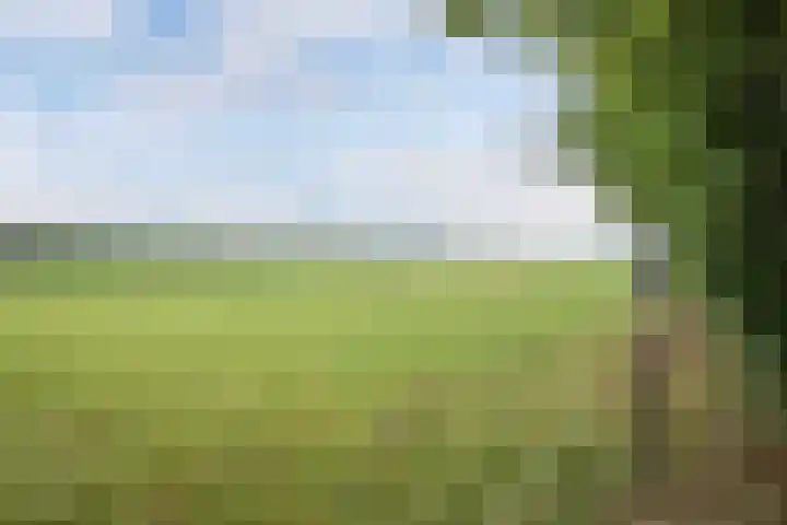 Turfhoekweg 16 Steggerda thumbnail 47