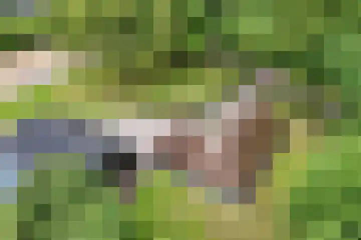 Turfhoekweg 16 Steggerda thumbnail 48