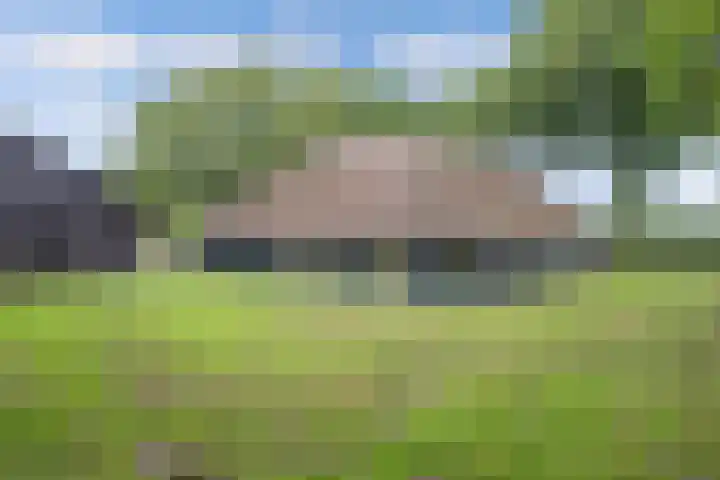 Turfhoekweg 16 Steggerda thumbnail 5