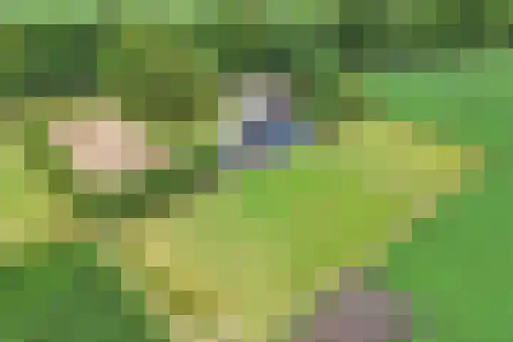 Turfhoekweg 16 Steggerda thumbnail 6