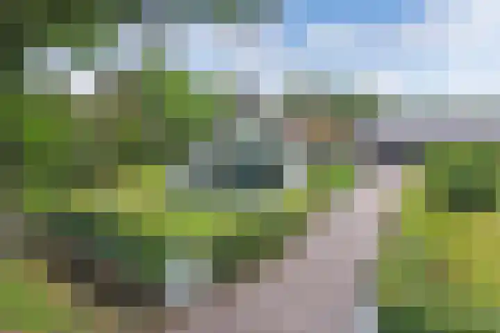 Turfhoekweg 16 Steggerda thumbnail 7