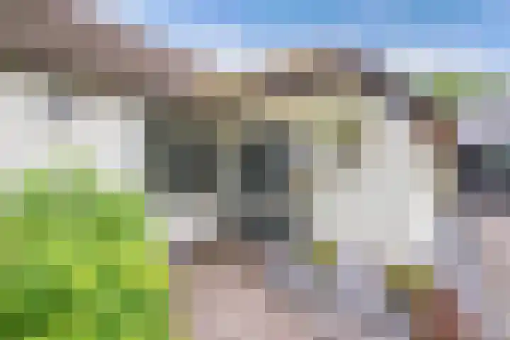 Turfhoekweg 16 Steggerda thumbnail 8