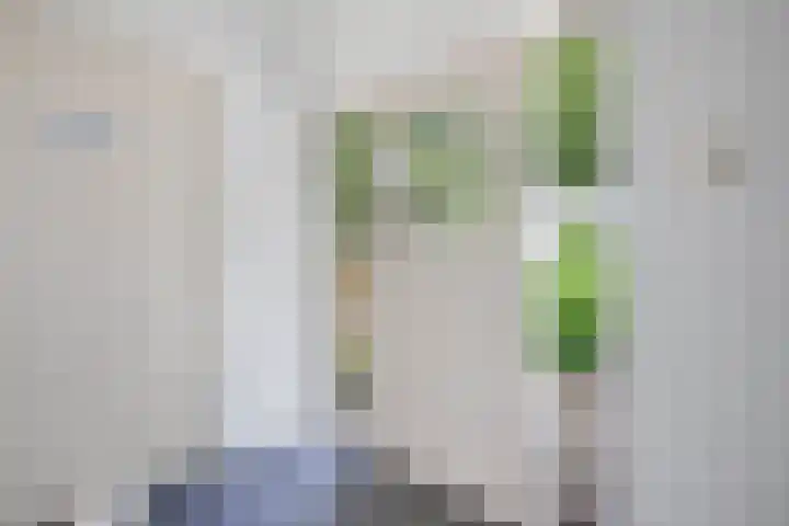 Turfhoekweg 16 Steggerda thumbnail 9