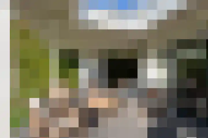 Turfhoeve 8 Helmond thumbnail 39