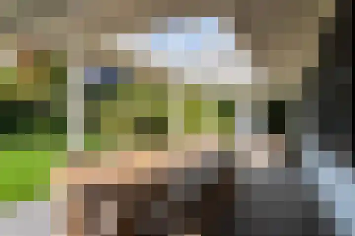 Turfhoeve 8 Helmond thumbnail 42