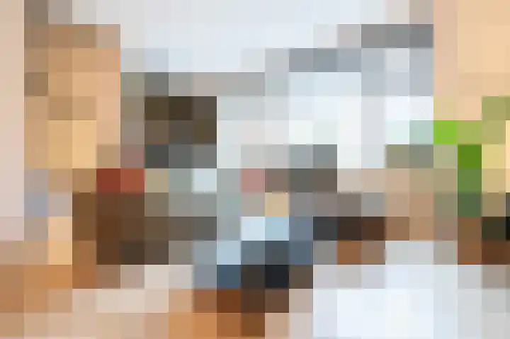 Turfhoofd 11 Oudenbosch thumbnail 11