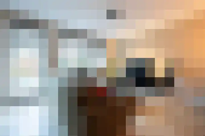 Turfhoofd 11 Oudenbosch thumbnail 12