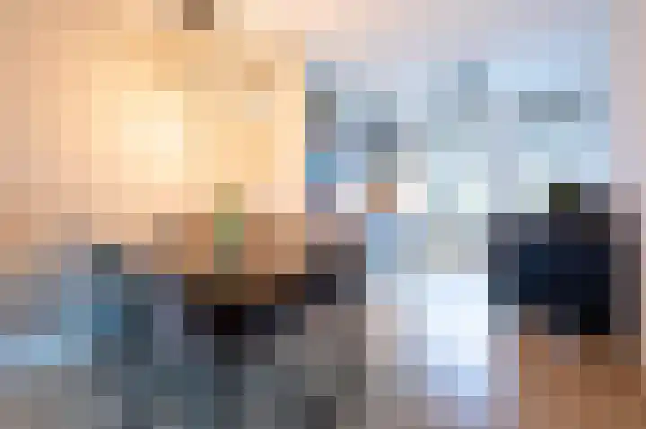Turfhoofd 11 Oudenbosch thumbnail 13