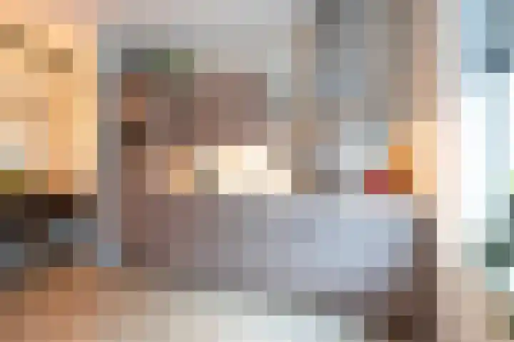 Turfhoofd 11 Oudenbosch thumbnail 16