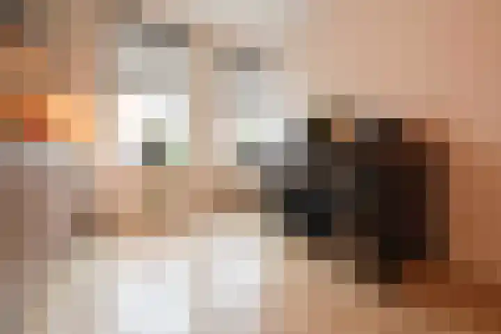 Turfhoofd 11 Oudenbosch thumbnail 17