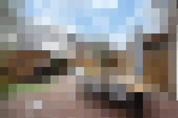 Turfhoofd 11 Oudenbosch thumbnail 19