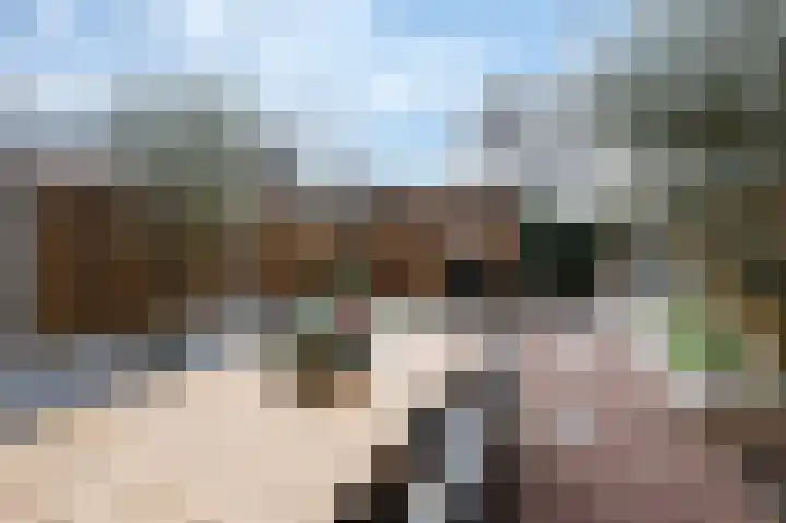 Turfhoofd 11 Oudenbosch thumbnail 20