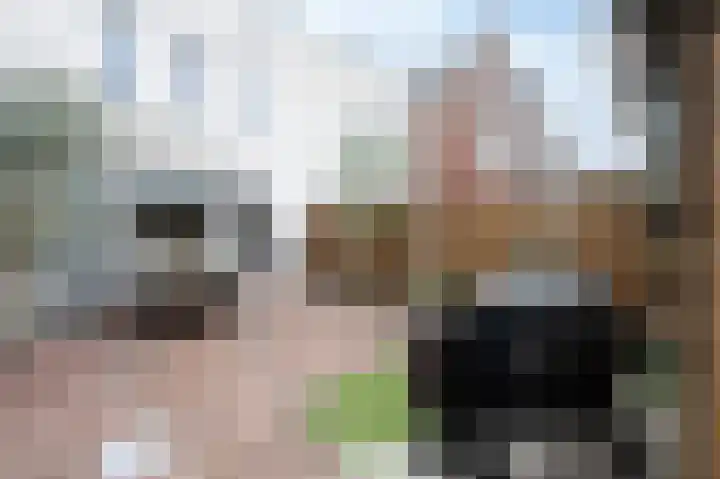 Turfhoofd 11 Oudenbosch thumbnail 21