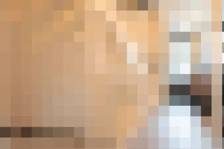 Turfhoofd 11 Oudenbosch thumbnail 22