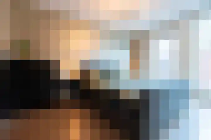 Turfhoofd 11 Oudenbosch thumbnail 23