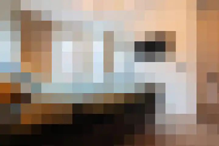 Turfhoofd 11 Oudenbosch thumbnail 24