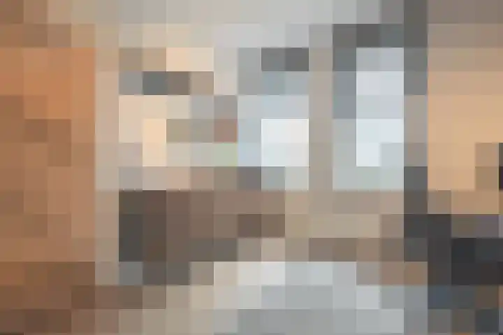 Turfhoofd 11 Oudenbosch thumbnail 31
