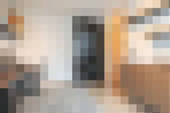 Turfhoofd 11 Oudenbosch thumbnail 32