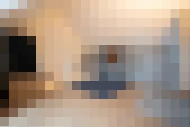 Turfhoofd 11 Oudenbosch thumbnail 34