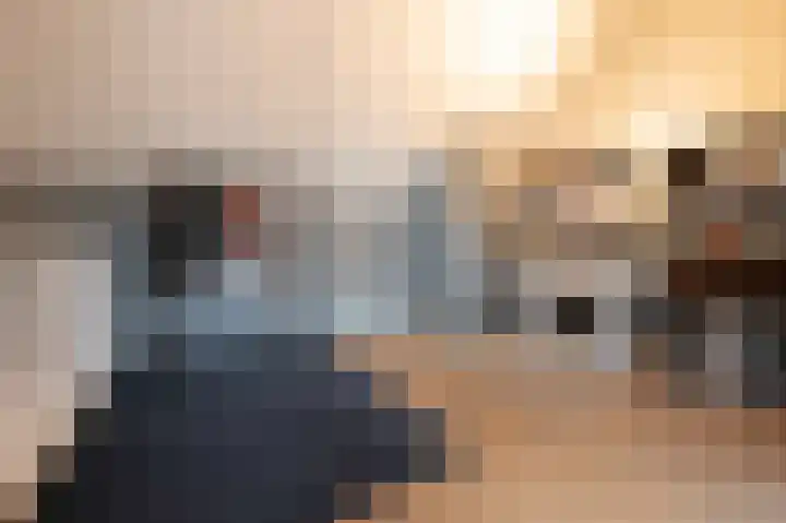 Turfhoofd 11 Oudenbosch thumbnail 35