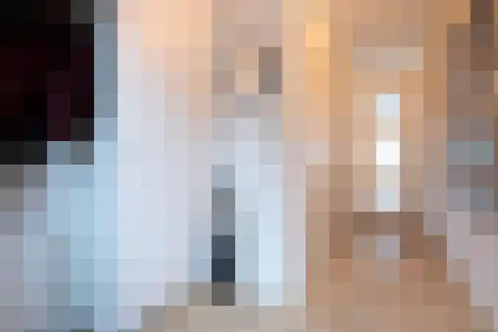 Turfhoofd 11 Oudenbosch thumbnail 6