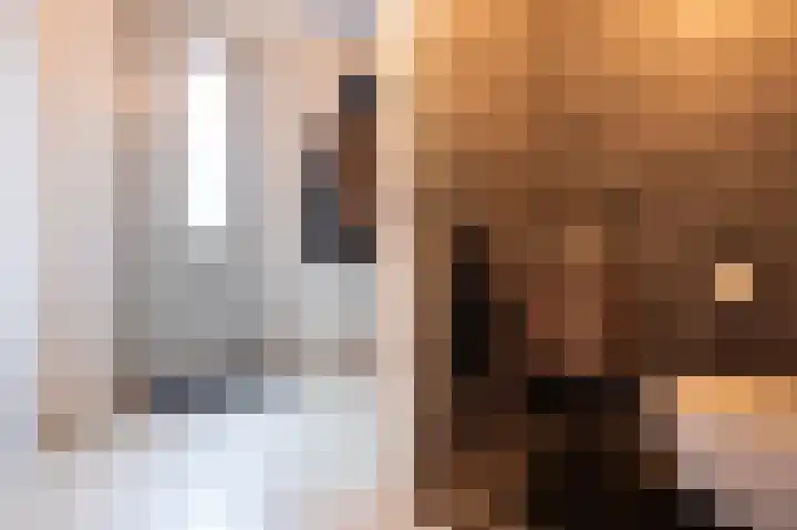 Turfhoofd 11 Oudenbosch thumbnail 7