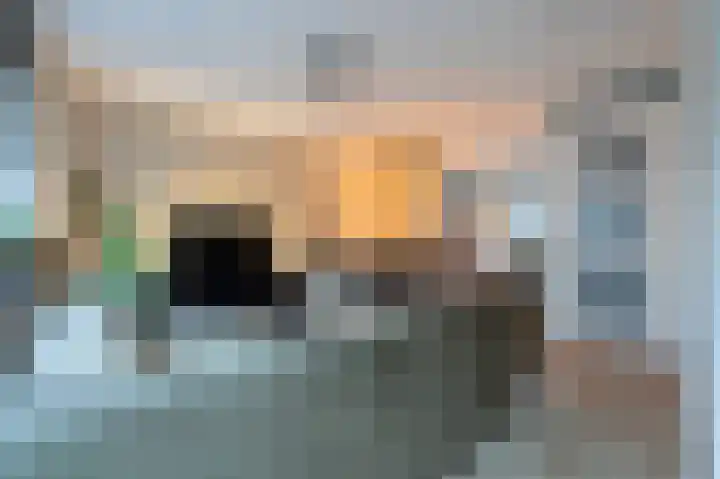 Turfhoofd 11 Oudenbosch thumbnail 9