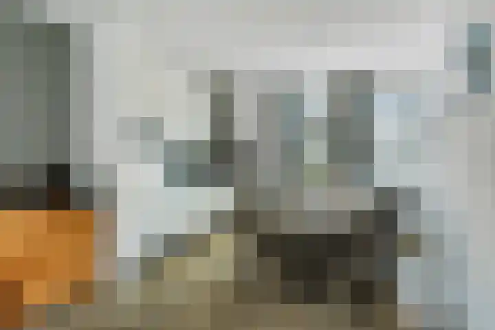 Turfhoofd 23 Oudenbosch thumbnail 11