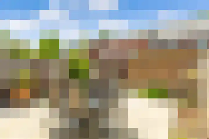 Turfhoofd 23 Oudenbosch thumbnail 14