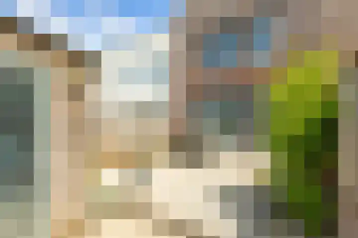Turfhoofd 23 Oudenbosch thumbnail 15
