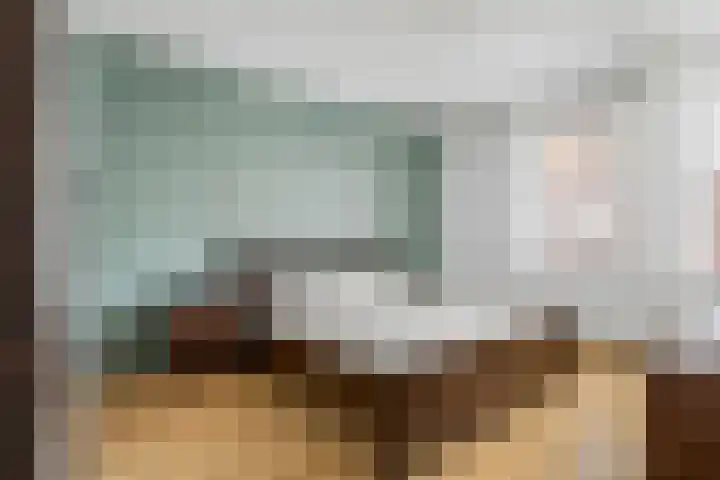 Turfhoofd 23 Oudenbosch thumbnail 16