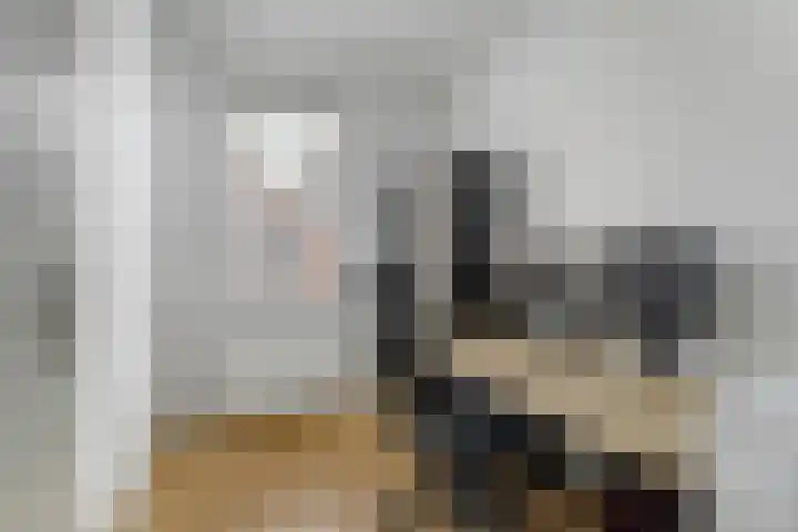 Turfhoofd 23 Oudenbosch thumbnail 17