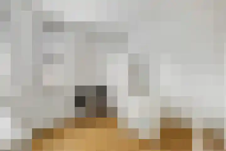 Turfhoofd 23 Oudenbosch thumbnail 18