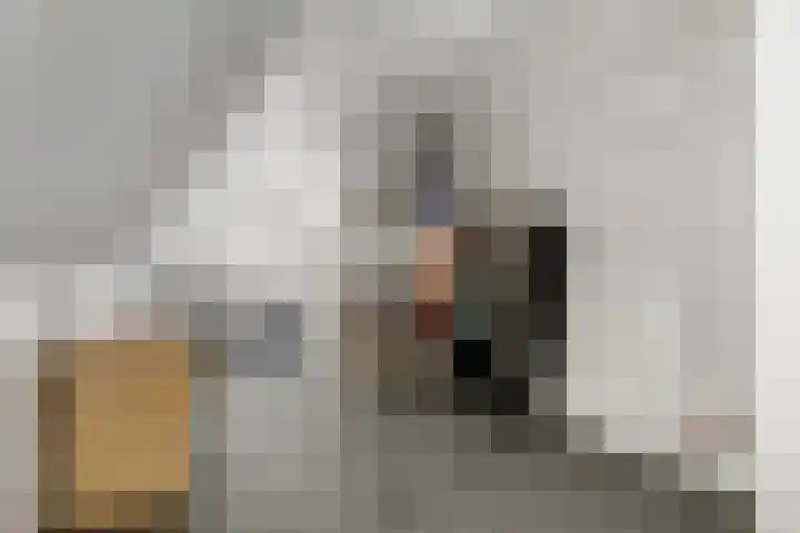 Turfhoofd 23 Oudenbosch thumbnail 21