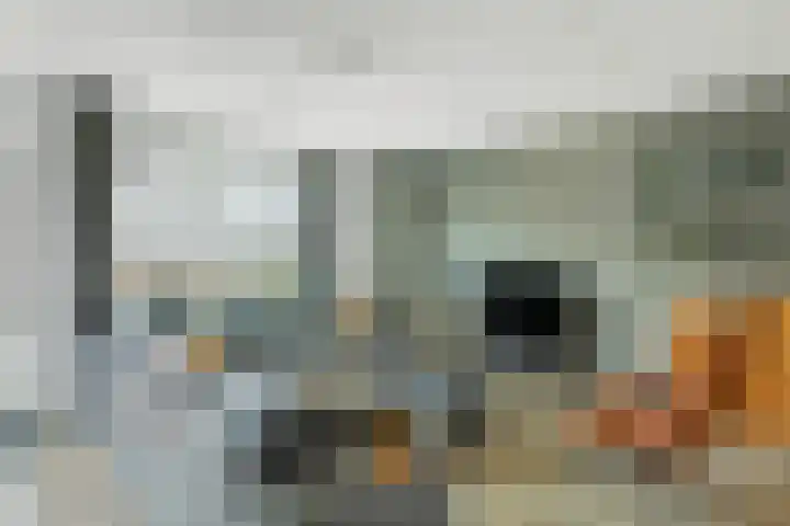 Turfhoofd 23 Oudenbosch thumbnail 8