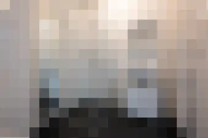 Turfhoofd 37 Oudenbosch thumbnail 22
