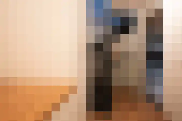 Turfhoofd 37 Oudenbosch thumbnail 33