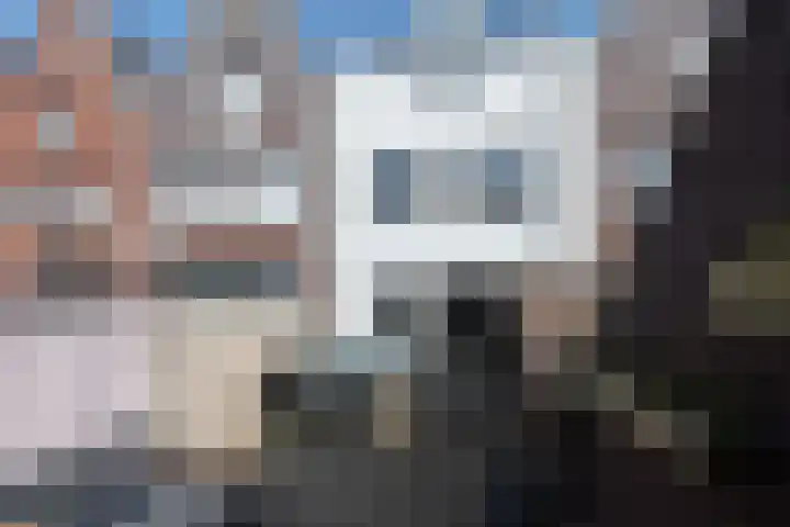 Turfhoofd 37 Oudenbosch thumbnail 37