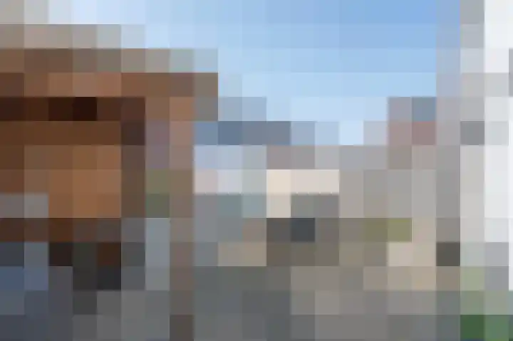 Turfhoofd 37 Oudenbosch thumbnail 39