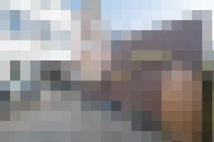Turfhoofd 37 Oudenbosch thumbnail 40