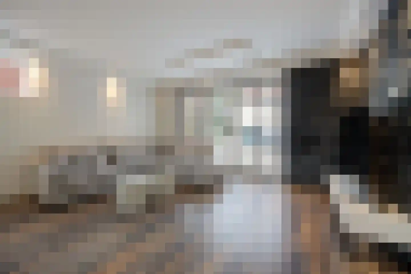 Turfhoofd 6 Oudenbosch thumbnail 12