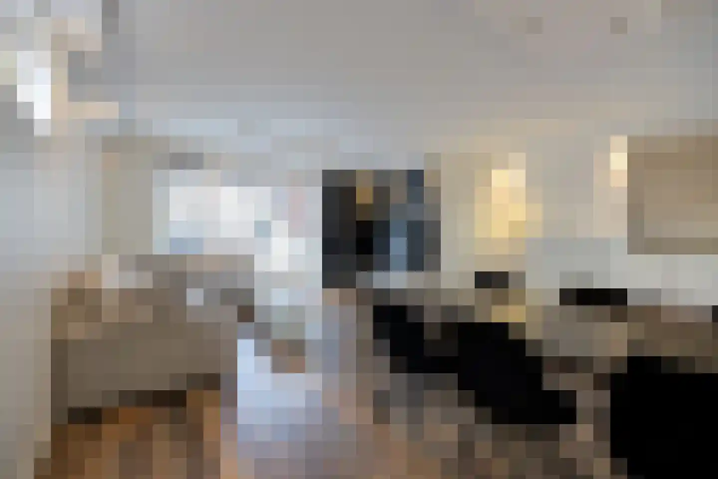 Turfhoofd 6 Oudenbosch thumbnail 16