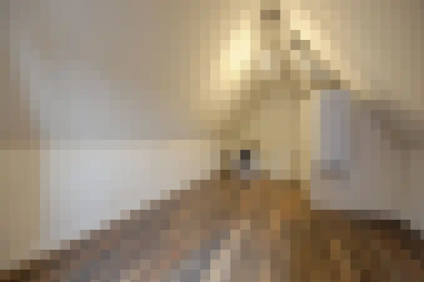 Turfhoofd 6 Oudenbosch thumbnail 31